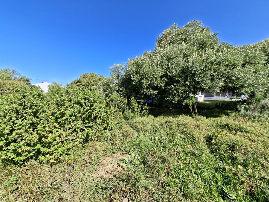 0 Bedroom Property for Sale in Palmiet Western Cape